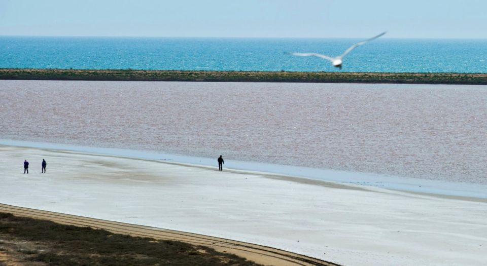 11 ������ � ������ ���������� ���� ������������ � ������������ ������