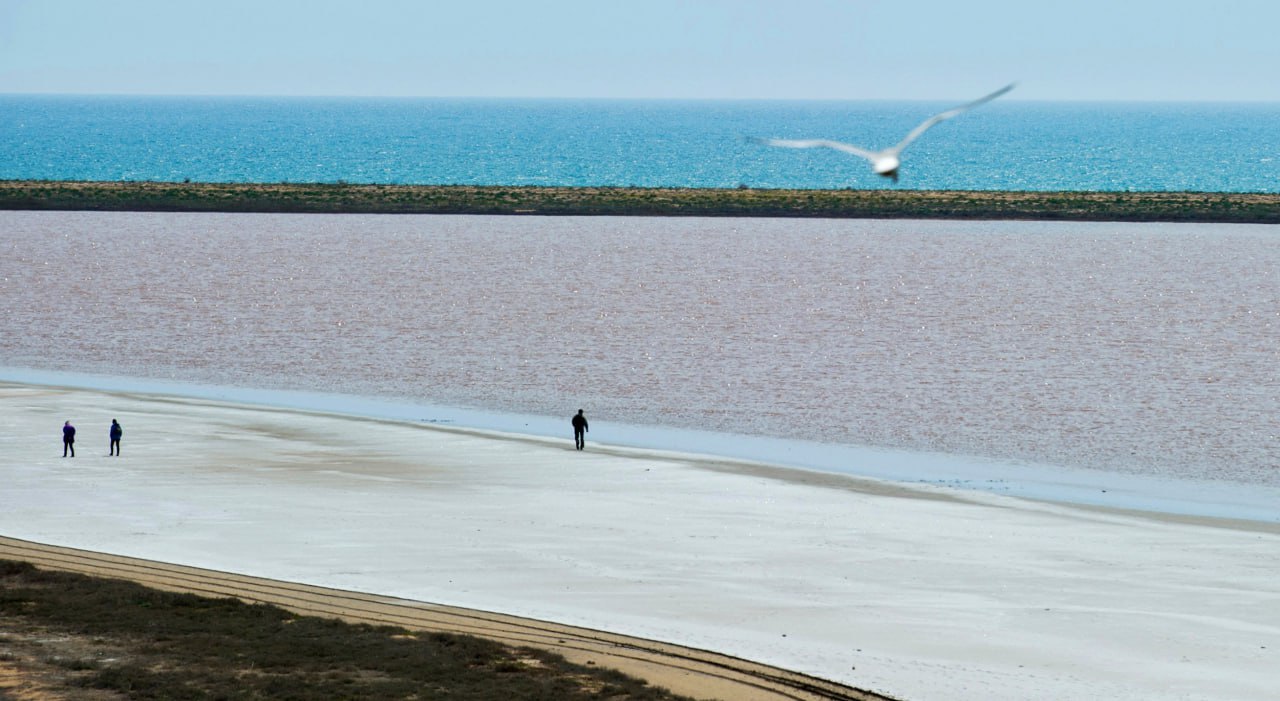 11 января в России отмечается День заповедников и национальных парков 11 января в России отмечается День заповедников и национальных парков