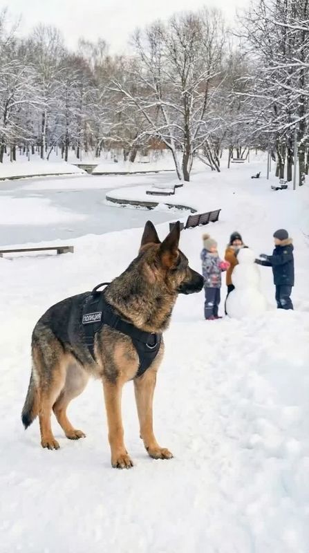 ����� ����: �������� � ���� �� ������ ������� - ���� �������� � �������������