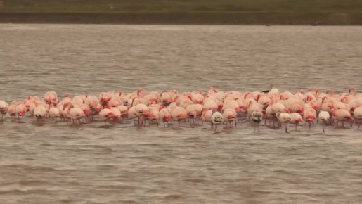 ������ 150 ������� �������� �������� �� ����� �������� ��� ���������