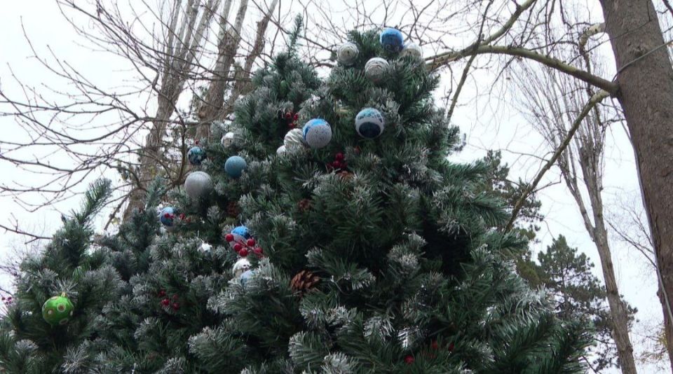 ������ ����, �����������!. #����������� #����