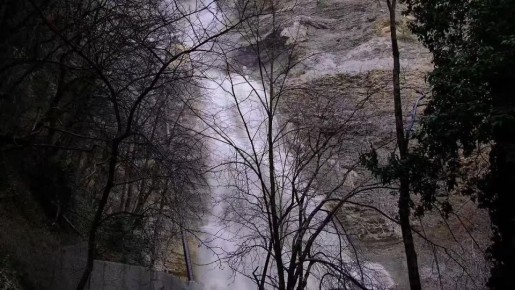 �������� ������ � ���� ��������� ������ ������������ �� 12 ��������� �����