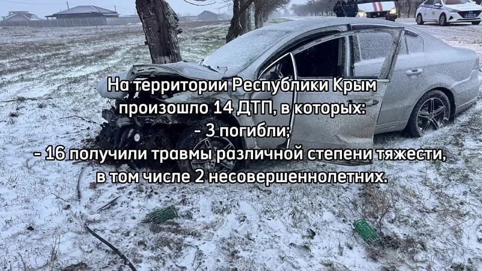 � ������ � 5 �� 11 ������ 2026 ���� �� ���������� ���������� ���� ���������������� 14 ���, � �������: