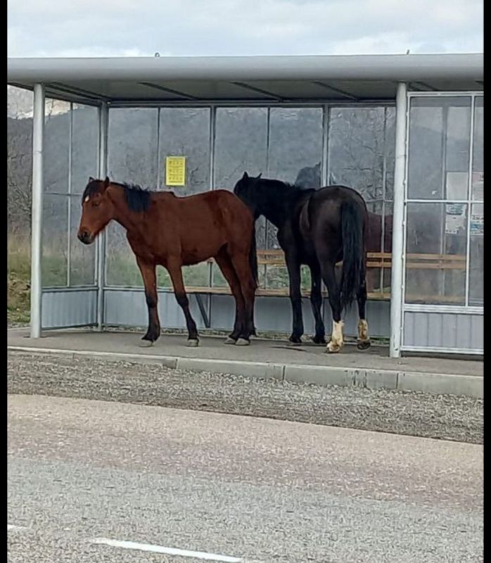 ������������ �������� ��������, ��� �� ������ ������ -����� ������ ������������ ������, ������� � ����� ������ ����� ����� �������� ���