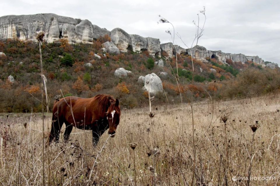 ����� ���, ����� � �����: �������� ���������� � ������� �� ��� ������� ����