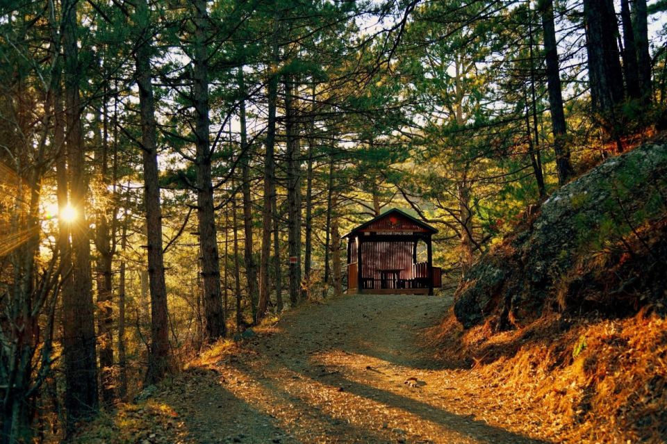 ��� ��������� � ����� � 2025 ����: ������� ������� ��� ��������