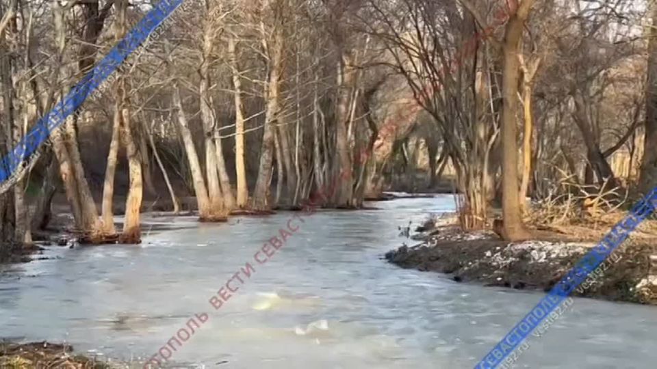 ��� ������ �������� ���� ׸����