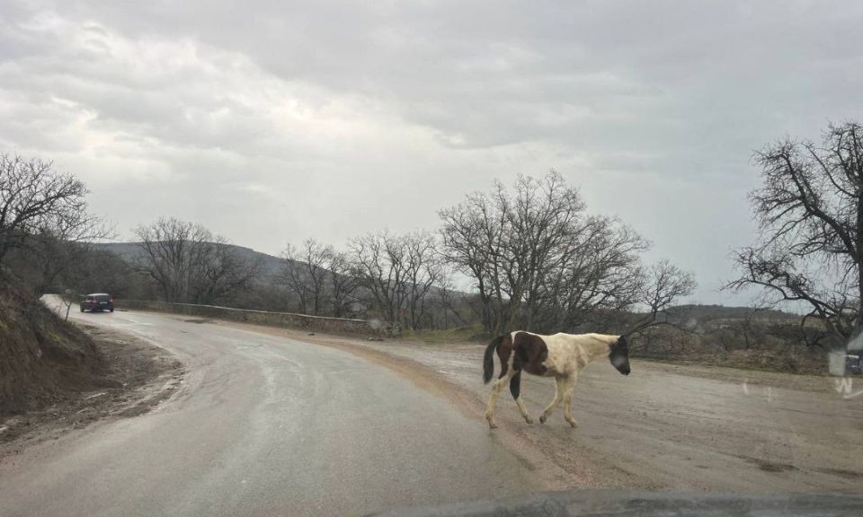 ������������ �������� ��������, ��� �� ������ ������ -����� ������ ������������ ������, ������� � ����� ������ ����� ����� �������� ���