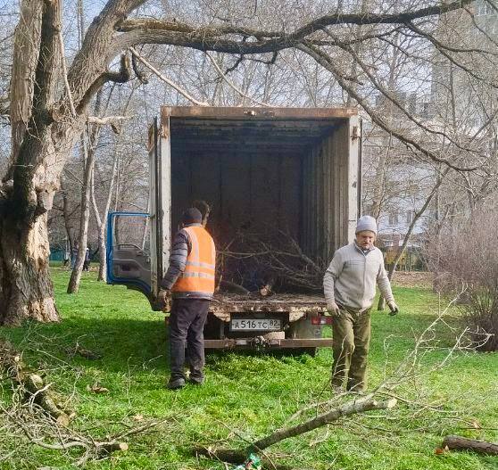 Порядка 150 кубометров мусора было вывезено с территории парков и скверов за 12 дней новогодних каникул Порядка 150 кубометров мусора было вывезено с территории парков и скверов за 12 дней новогодних каникул