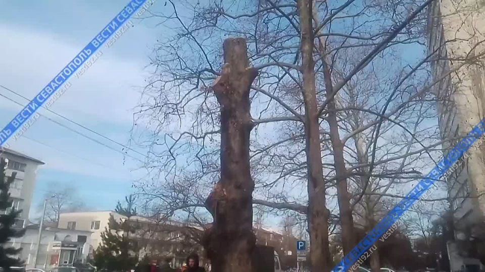 �� ��������� �������� ��������� �������� � ������� ��������� ����� ��������