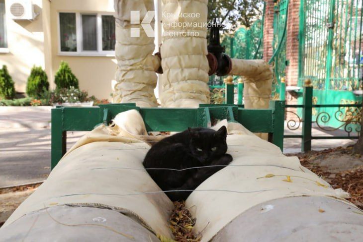 �� ������ ������������� ��������� �� ����� ���������� � ����������� �������� ����� 62,5 ��� ������