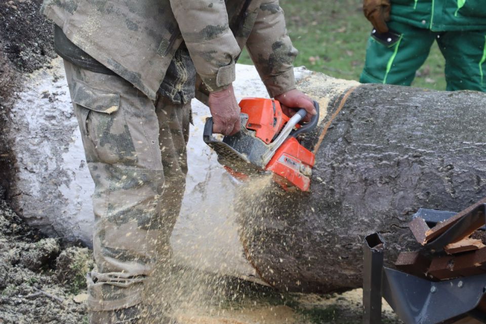 ����������� ���������� � ��������� ������ ������������ ������ �� ����� � ������ ��������, ���������� ��������� ������