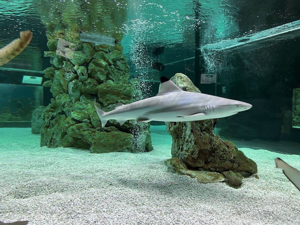 ��� ��������� � ����� � 2025 ����: ������� ������� ��� ��������