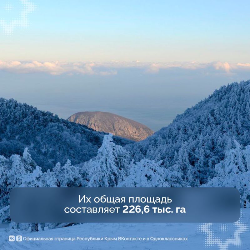 ������� ����� ���������. � �� ���������� � ���� ����� ������