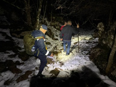 ������ ���������: ������������ ������ ����������� ������������� 95 ������������ �� ���������� �������� � ������� 24 ��������