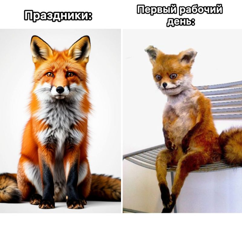 ����������, ������ "���������" � ��� ������ ������� ������ ����?