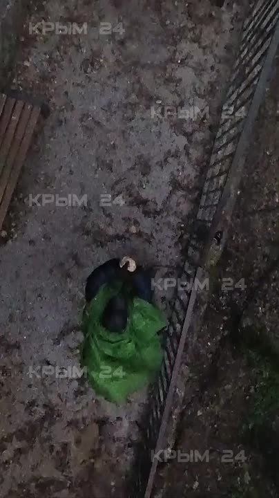 �������������, ������� ������ ����, ����������� �� 12 ��� ���������� �� ������