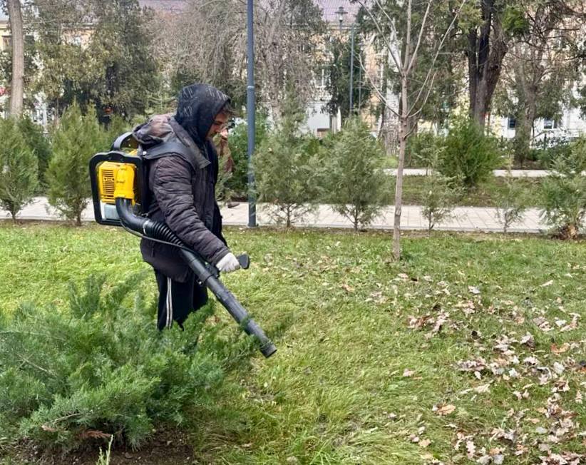 Порядка 150 кубометров мусора было вывезено с территории парков и скверов за 12 дней новогодних каникул Порядка 150 кубометров мусора было вывезено с территории парков и скверов за 12 дней новогодних каникул