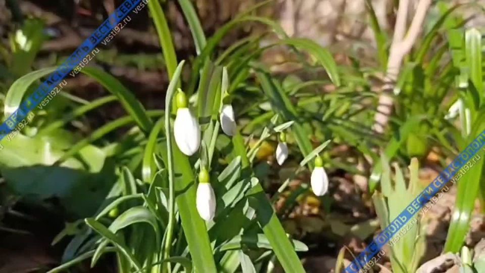 �������� �� �������� ��������� ������������ � �����������