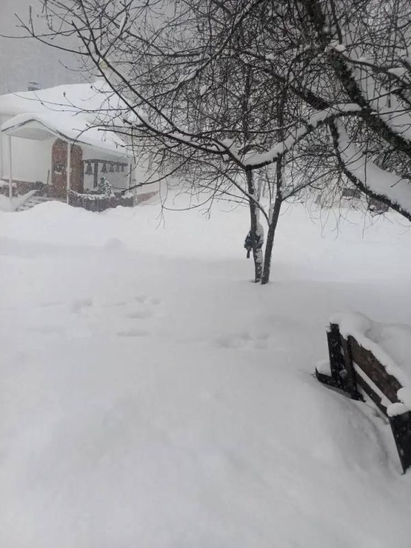 ������ � �������� ��������� � ����� ������ � ������� � ������ ������