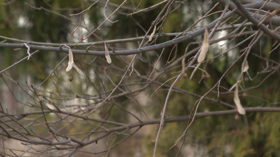 ������������ ������ ��������� � ����� �� ���� ������