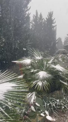 ���� ����: ����. ����. ������