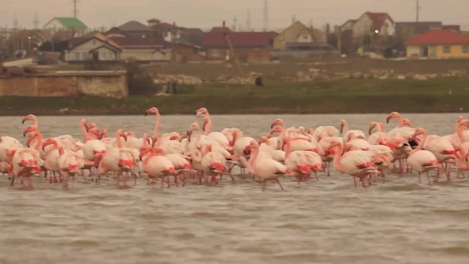 � ����� ����� �������� �������� ��������� ������� ������� ������� ��������