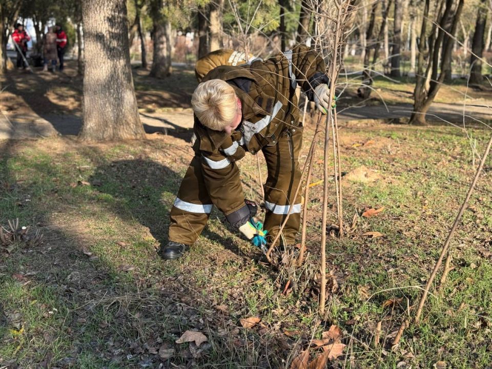 Уход за зелеными насаждениями Керчи не прекращается ни на день Уход за зелеными насаждениями Керчи не прекращается ни на день