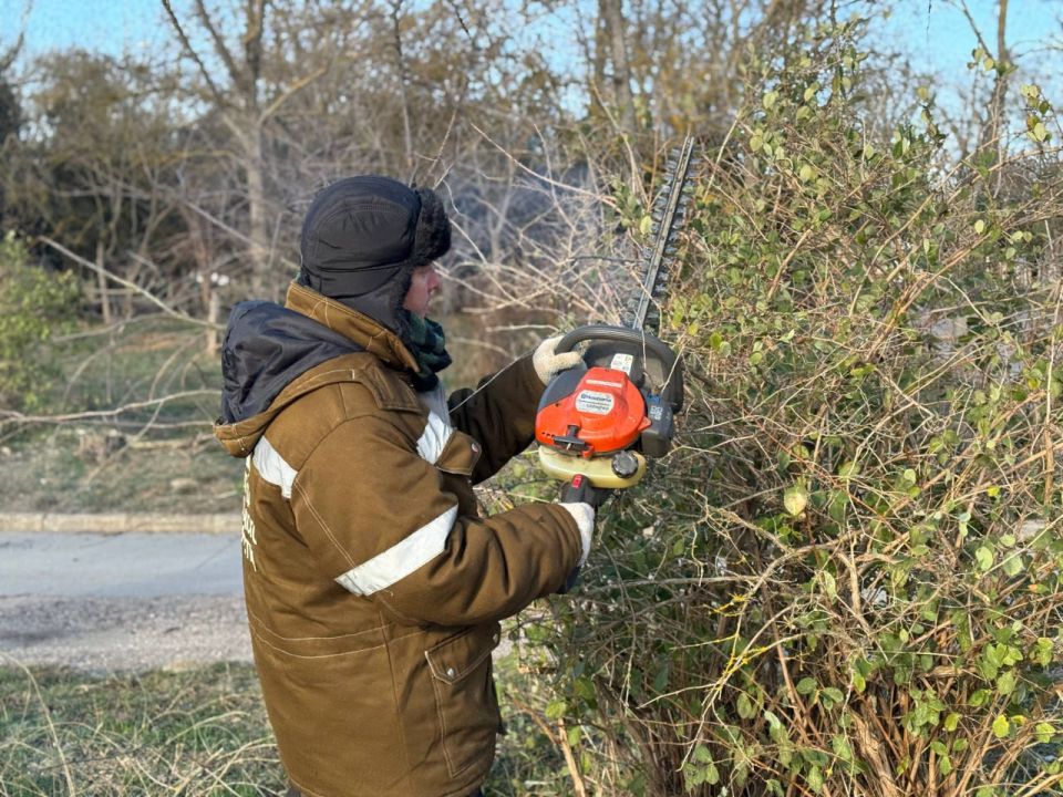 Уход за зелеными насаждениями Керчи не прекращается ни на день Уход за зелеными насаждениями Керчи не прекращается ни на день