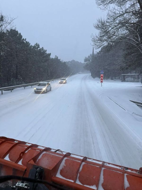 � ����� �� ����� ������� ������� ������ ���� � �����������