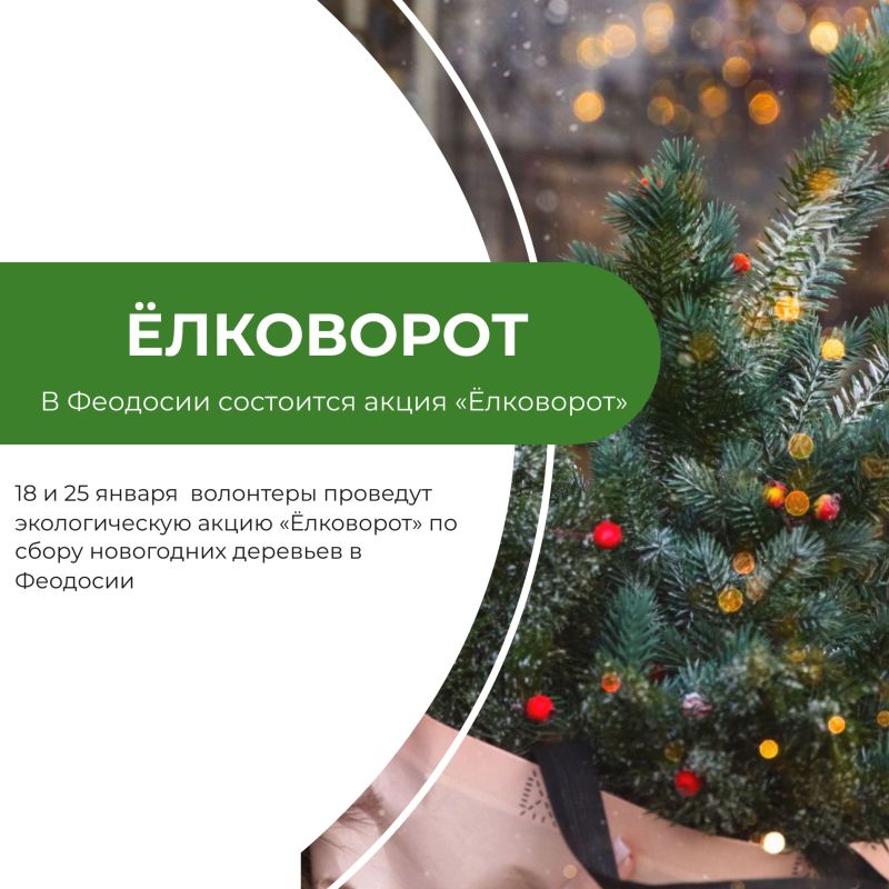 Жители города в эти дни смогут сдать на переработку ели и сосны, которые украшали их квартиры и дома в новогодние праздники