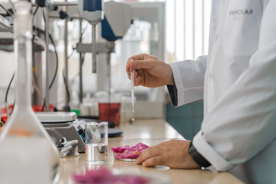 �������� ����������-������������� ������� �������� � ������ ������������ ������