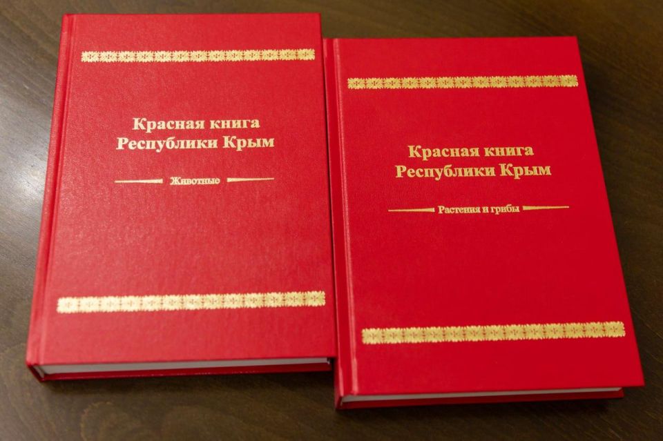 � ����� ������ ��� ����� ���� ������� ����� ����������