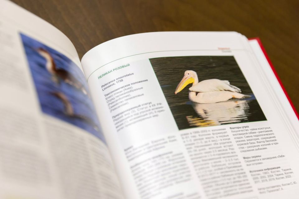 В Крыму выпустили обновлённое издание Красной книги В Крыму выпустили обновлённое издание Красной книги