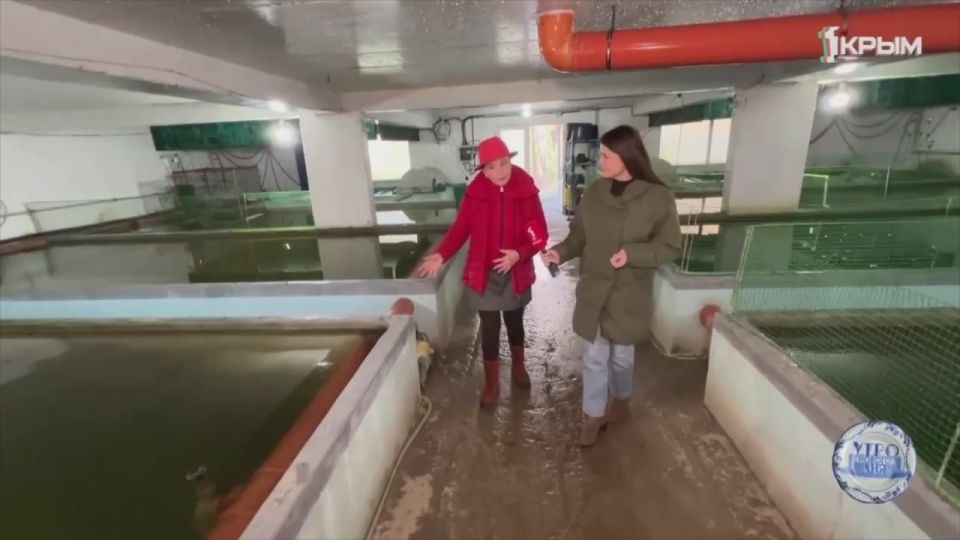 ������� � ���������� ����� ����������� ��������� �������