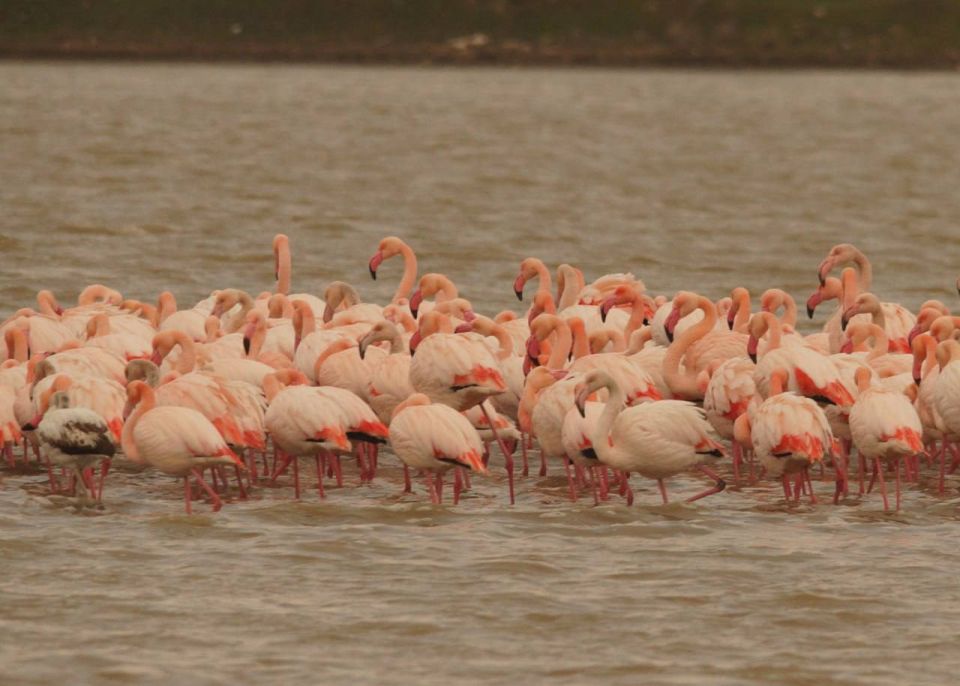 ������ �������� � ����� ����� � ���� ��������� �����