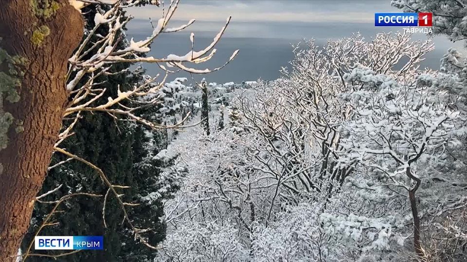 � ����� ��������� ���������� ��������� ��������������