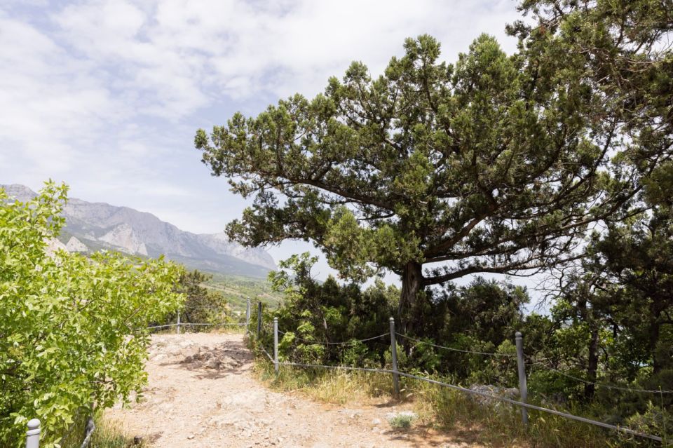 Сергей Аксёнов: Забота о сохранении природы – это не только важная государственная задача, но и показатель нашей ответственности перед будущими поколениями Сергей Аксёнов: Забота о сохранении природы – это не только важная государственная задача, но и показатель нашей ответственности перед будущими поколениями