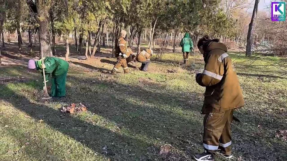 Уход за зелеными насаждениями Керчи не прекращается ни на день