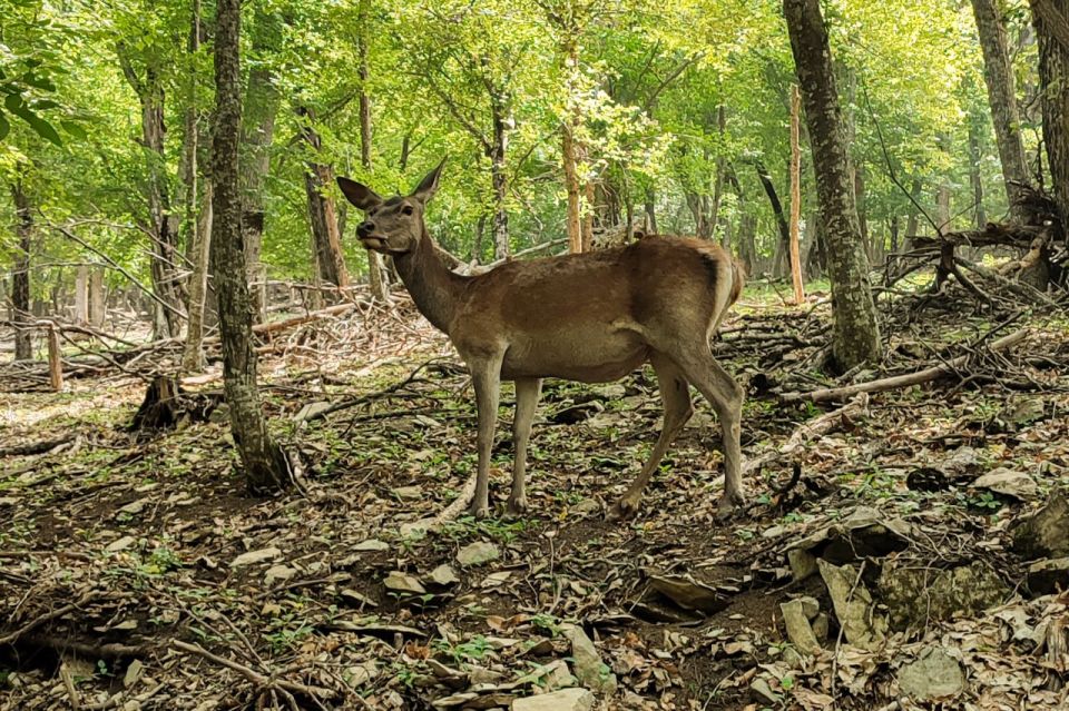 Сергей Аксёнов: Забота о сохранении природы – это не только важная государственная задача, но и показатель нашей ответственности перед будущими поколениями Сергей Аксёнов: Забота о сохранении природы – это не только важная государственная задача, но и показатель нашей ответственности перед будущими поколениями