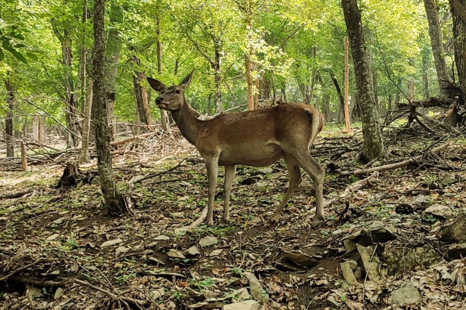 � ����� ������ ��� ����� ���� ������� ����� ����������