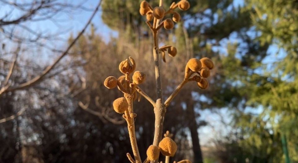 ������ ����, �����������!. #����������� #����