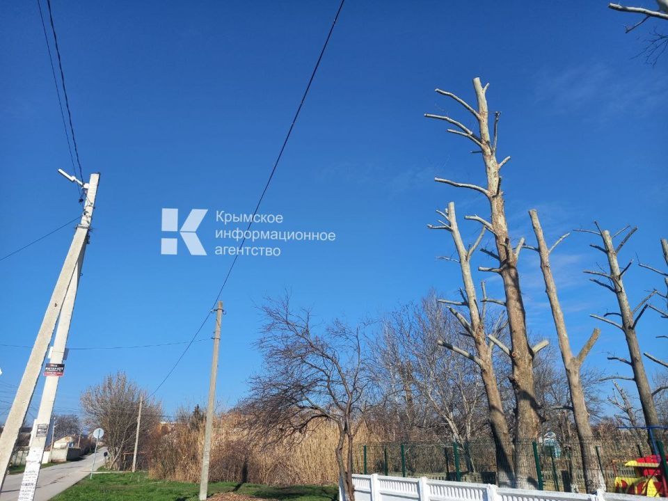 � ���� ��������� ������ ����� �������� ������, � ��������� ����������� � ��������