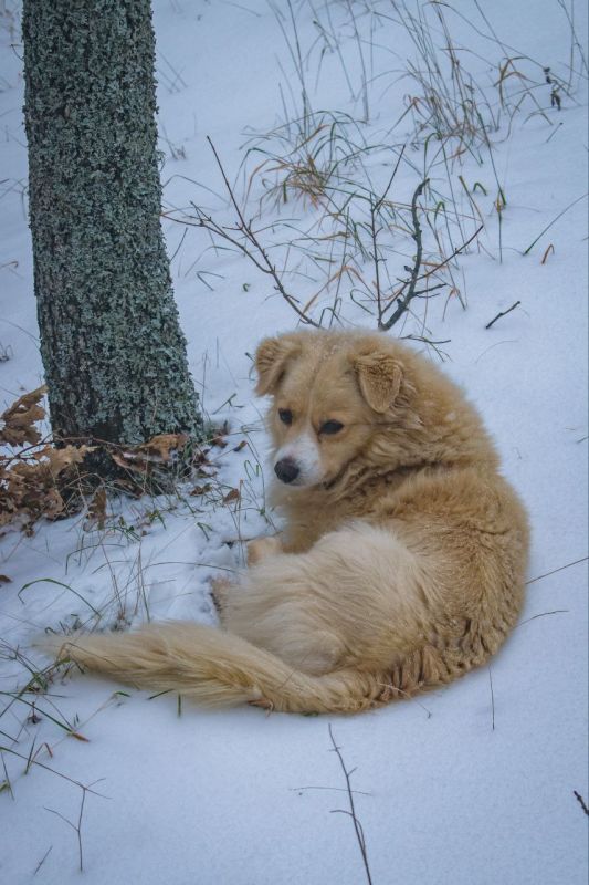 ��������� ����� � ����� � ���������� ���������