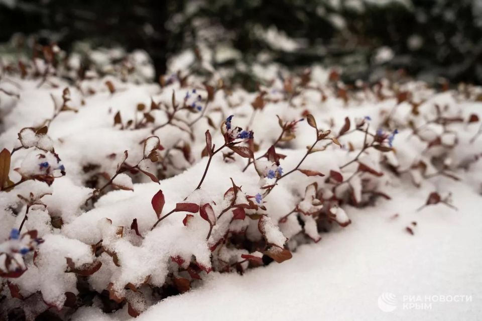 ����� ������� ���� � ������� ��������� � ����� ��� ������