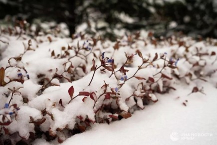 ����� ������� ���� � ������� ��������� � ����� ��� ������