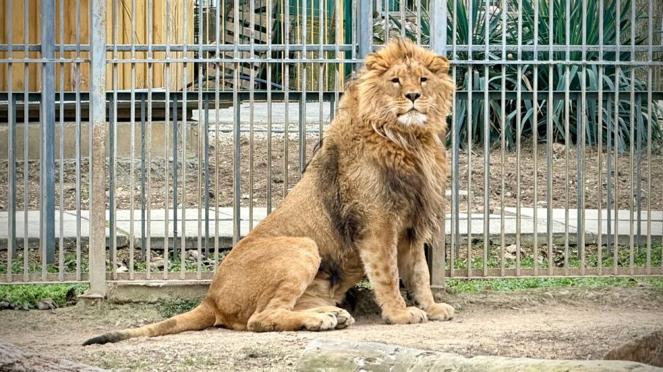 ��� �������� ������ ���������, ��� �����? ���������� � ��������!