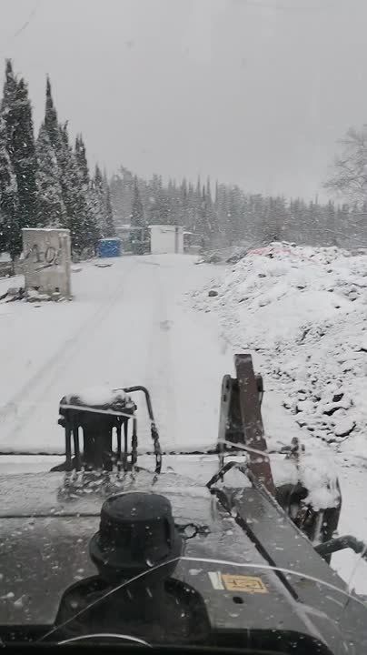 ��� ����� ������ ��������� � ���������