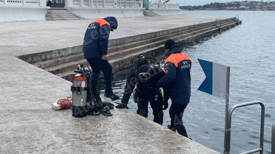 �������� ������ ������������ ���������� ���� ���������� �������