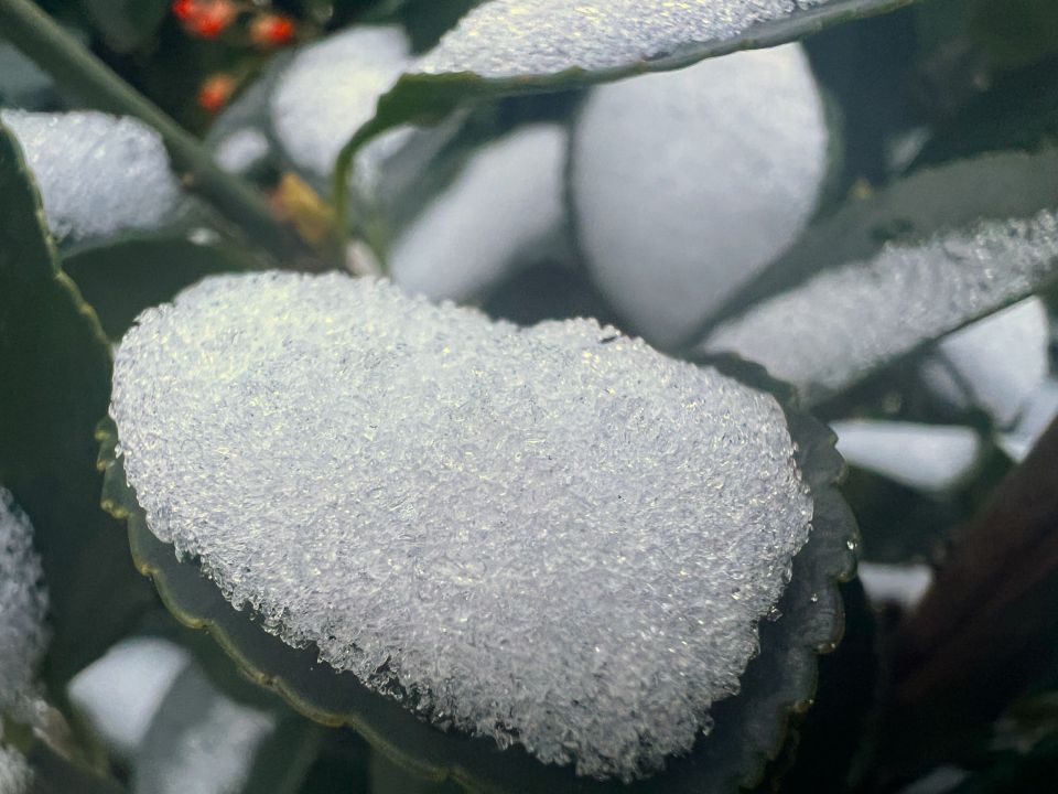 � ������ �����, �������!. ������, ����� ������� ������� ��� � ������ ��������